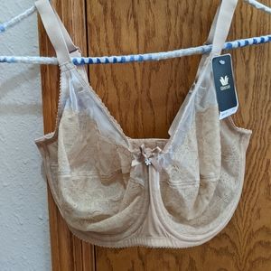 Wacoal Bra